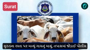Surat: સુરતના રસ્તા પર મળ્યું ગાયનું માથું, તપાસમાં જોડાઈ પોલીસ