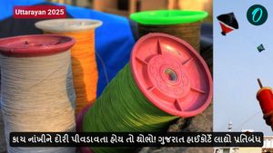 કાચ નાંખીને દોરી પીવડાવતા હોય તો થોભો! ગુજરાત હાઈકોર્ટે લાદ્યો પ્રતિબંધ