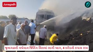 Junagadh: જૂનાગઢની વર્ધમાન જિનિંગ મિલમાં લાગી આગ, 4 કરોડનો કપાસ રાખ