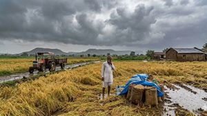 આજથી 3 દિવસ ગુજરાતમાં માવઠાની આગાહી, આ જિલ્લાઓને વધુ અસર થશે