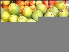 'orange' और 'jungle' में क्या समानता है? 