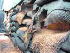 सड़ते अनाज की आग में जलती जनता