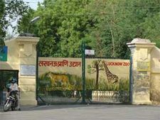 अपना नहीं अंग्रेजों का है लखनऊ का चिड़ियाघर
