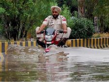 तस्वीरों में देखें मॉनसून के 20 अलग अलग अंदाज