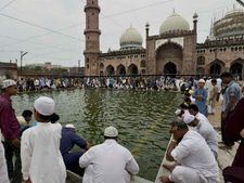 रमजान के दौरान बाजार में छाईं खजूर की नायाब किस्में