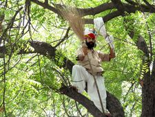 खुदकुशी करने वाले किसान को शहीद घोषित करने पर केजरीवाल को कोर्ट से फटकार 
