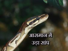 PICS: आसमान में उड़ा सांप, कैमरे में कैद हुईं तस्वीरें 