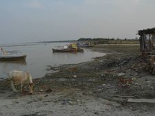 तस्वीरों में देखिये संगम तट और गंगा सफाई अभियान की हकीकत