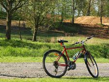 World Bicycle Day( 19 अप्रैल): जानिए साईकिल का इतिहास और रोचक बातें