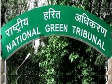 दिल्ली: चिकनगुनिया-डेंगू को लेकर एनजीटी की नगर निगमों को फटकार