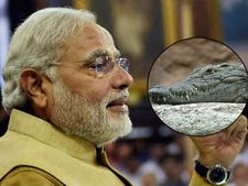 Birthday Special: 'जब मगरमच्छ के बच्चे को पकड़ लाए थे नरेंद्र मोदी'