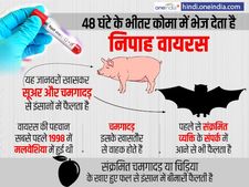 'निपाह वायरस' के आतंक से परेशान केरलवासी, दिल्ली वाले भी रहें सावधान, जानिए लक्षण और बचाव 