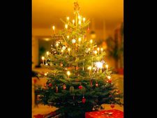 Merry Christmas 2018: जानिए 'क्रिसमस ट्री' का इतिहास, पढ़ें कुछ रोचक बातें