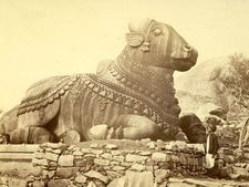 नंदी के कानों में मनोकामना कहने का क्या है राज?