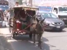 Video: पेट्रोल की बढ़ती कीमतों के बाद गधे की सवारी करने पर मजबूर पाकिस्‍तान की जनता 