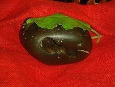 Shaligram: घर में है शालिग्राम तो ये सावधानियां हैं जरूरी