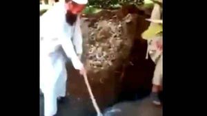 पाकिस्‍तान में खुदाई के दौरान मिली बुद्ध की प्राचीन मूर्ति,  गैर इस्‍लामी बताकर कर दिए टुकड़े-टुकड़े, Video