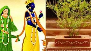 Tulsi Vivah/Dev Uthani Ekadashi 2020: आज है देवउठनी एकादशी व्रत और तुलसी विवाह ,जानें पूजा विधि और शुभ मुहूर्त