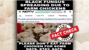 FACT CHECK: क्या चिकन खाने फैल रहा ब्लैक फंगस, जानें सोशल मीडिया पर किये जा रहे इस दावे का सच 