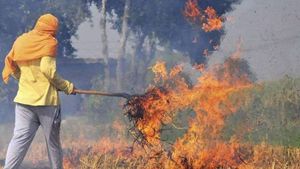 यूपी में पराली जलाने से रोकने के लिए एक्शन प्लान तैयार, लेखपाल से लेकर थाना प्रभारी और DM तक होंगे जिम्मेदार