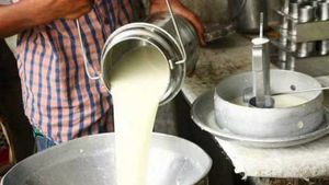 UP : बलिनी की तर्ज पर पूर्वांचल में भी बनेंगी मिल्क प्रोड्यूसर कम्पनियां