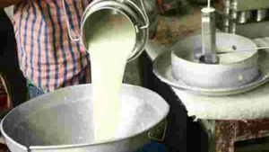 Fact Check: मिलावटी दूध से 8 सालों में 87% भारतीयों को हो जाएगा कैंसर? जानें पूरा सच