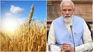 भीषण गर्मी में 'झुलसा गेहूं', मौसम की मार के कारण 20 साल में सबसे कम उत्पादन