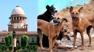 Dog bite cases: क्यों बढ़ रही हैं कुत्तों द्वारा काटने की घटनाएं?