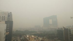 Pollution in Delhi: क्या प्रदूषण को नियंत्रित करने के लिए दिल्ली को बीजिंग से कुछ सीखना चाहिए? 