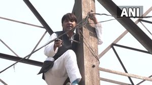 MCD election : टिकट नहीं मिलने पर पूर्व AAP पार्षद टावर पर चढ़े, आत्महत्या की दी धमकी