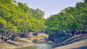 Mangrove Forests: मैंग्रोव वन क्या होते हैं और जलवायु परिवर्तन में इनका क्या योगदान है?
