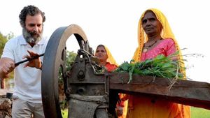 Farm Loan waiver promise: किसानों के जख्मों पर नमक डालती एक तस्वीर 