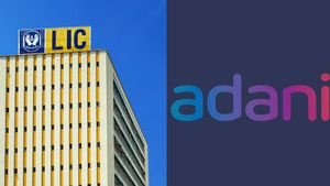 LIC on Adani: LIC के चेयरमैन का बड़ा बयान, बोले- अडानी ग्रुप के टॉप मैनेजमेंट से जल्द करूंगा मुलाकात 