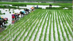 ओडिशा: वित्तीय वर्ष 2023-24 के लिए 1000 करोड़ रुपए का लक्ष्य,  कृषि सचिव ने की अधिकारियों की बैठक