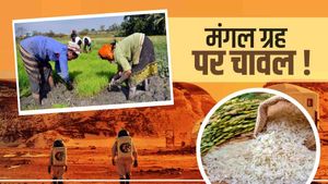 Rice on Mars: अमेरिकी यूनिवर्सिटी की रिसर्च से क्रांति की संभावना, जानिए चावल के बारे में क्या पता लगा?