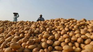 Farm Crisis: कैसे दूर होगा किसानों का संकट? 