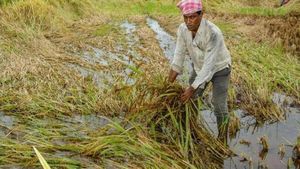 ओडिशाः मुख्यमंत्री कृषि उद्योग योजना के मानदंडों को किया गया संशोधित 