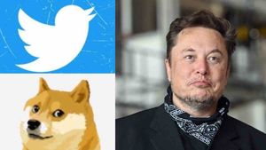 Musk on Twitter: कभी बाथरूम सिंक तो कभी कुत्ता, जानिए ट्विटर पर एलन मस्क की मजाकिया हरकतें