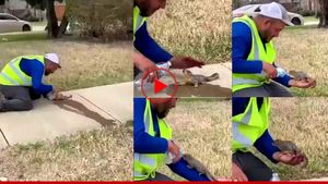 शख्स ने इस तरह बुझाई छटपटाती गिलहरी की प्यास, Video देख आपका भी पिघल जाएगा दिल