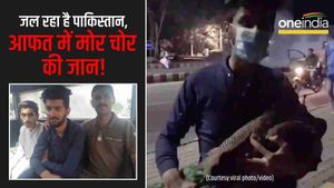 पाकिस्तान को क्या हो गया है? मुल्क बर्बाद हो रहा है और पुलिस मोर चोर के पीछे पड़ी है-VIDEO