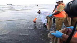 पर्यावरण और स्वच्छता के लिए रोज एक मिनट दें, CM एकनाथ शिंदे की महाराष्ट्र की जनता से ऐसी अपील क्यों, जानिए