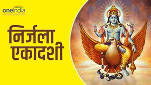 Nirjala Ekadashi 2023 DO-DONTS: भीमा एकादशी पर भूलकर ना करें ये काम, वरना होंगे पाप के भागीदार 