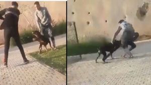 Dog Viral Video: कुत्ते को लगातार मारे जा रहा था शख्स, आपा खो बैठा जानवर और फिर...
