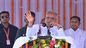छत्तीसगढ़ः  सुराजी गांव योजना से मिले आजीविका के अतिरिक्त साधन