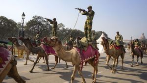 World Camel Day: 22 जून को राष्ट्रीय ऊंट दिवस, जानें रेगिस्तान का जहाज आज क्यों संकट में है?