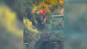 Video: दिल दहलाने वाली घटना, जिपलाइन से 40 फीट नीचे गिर गया 6 साल का बच्चा, मचा हड़कंप