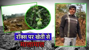 जज्बे को सलाम! सिविल इंजीनियर की नौकरी छोड़ चट्टानों को सींचा, आज हो रहा मालामाल ये शख्स