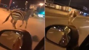 Fact Check: क्या फ्रांस में प्रदर्शनकारियों को रोकने के लिए जानवर छोड़े गए थे ? जानें क्या है सच्चाई