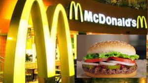 McDonald's  भी नहीं अफोर्ड कर पा रहा टमाटर! बर्गर से हटाया Tomato तो इंटरनेट पर तुरंत बनने लगे मजेदार मीम्‍स