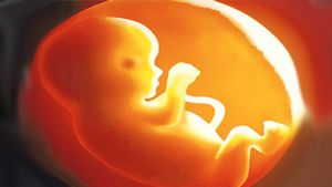 IVF Day: विज्ञान दे रहा संतान, प्रतिवर्ष 5 लाख बच्चों का आईवीएफ तकनीक से हो रहा जन्म 